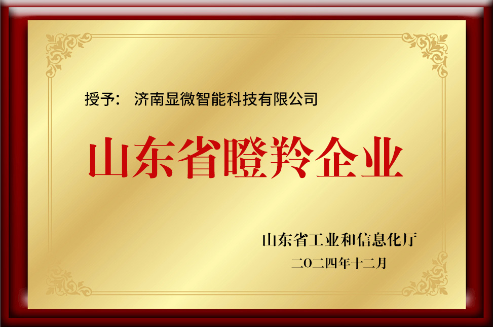 瞪羚企业