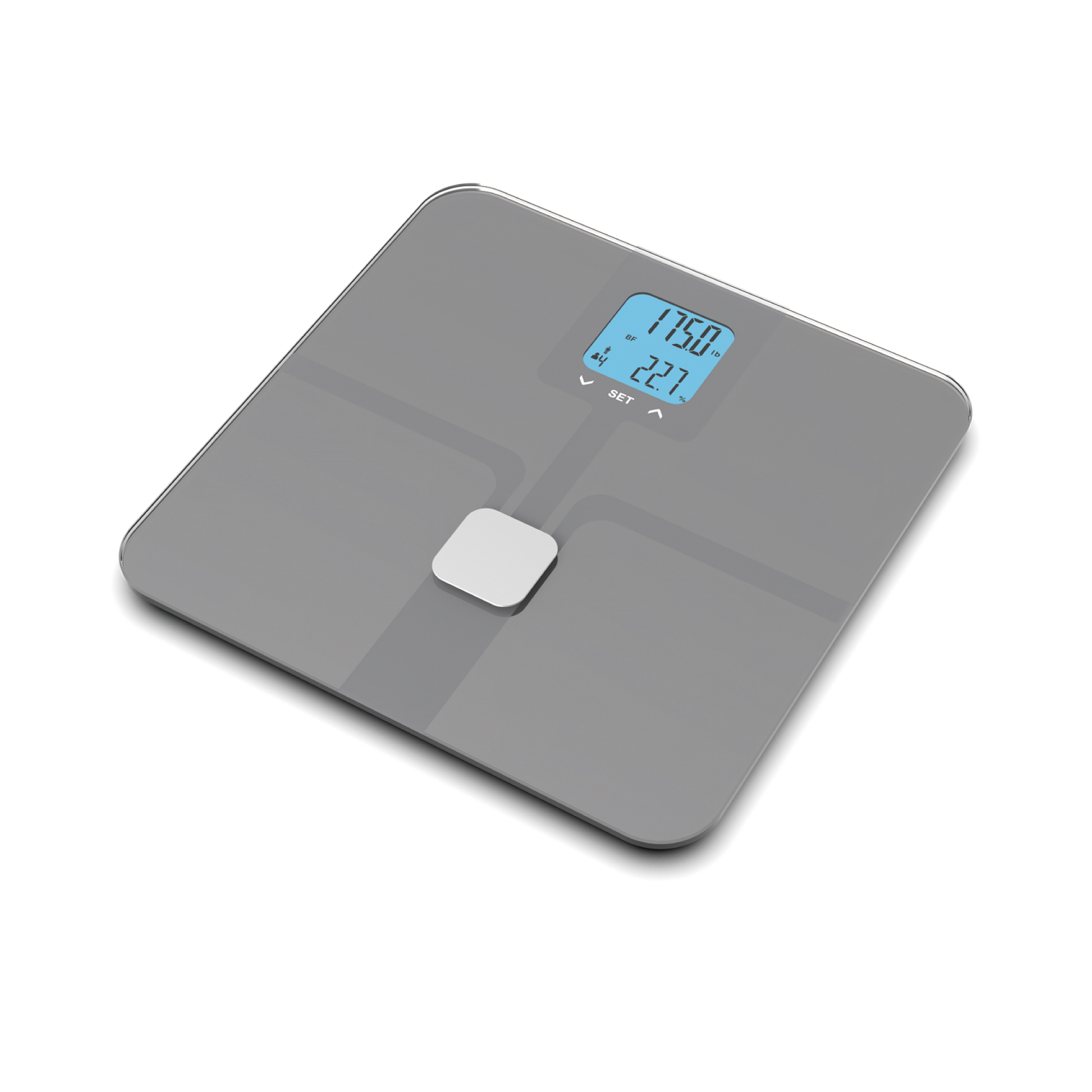 Body fat scale