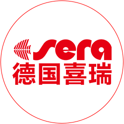 描述