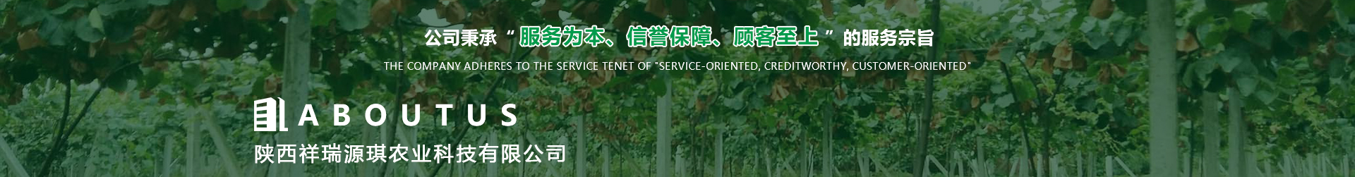 猕猴桃果汁厂家