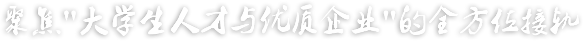 描述