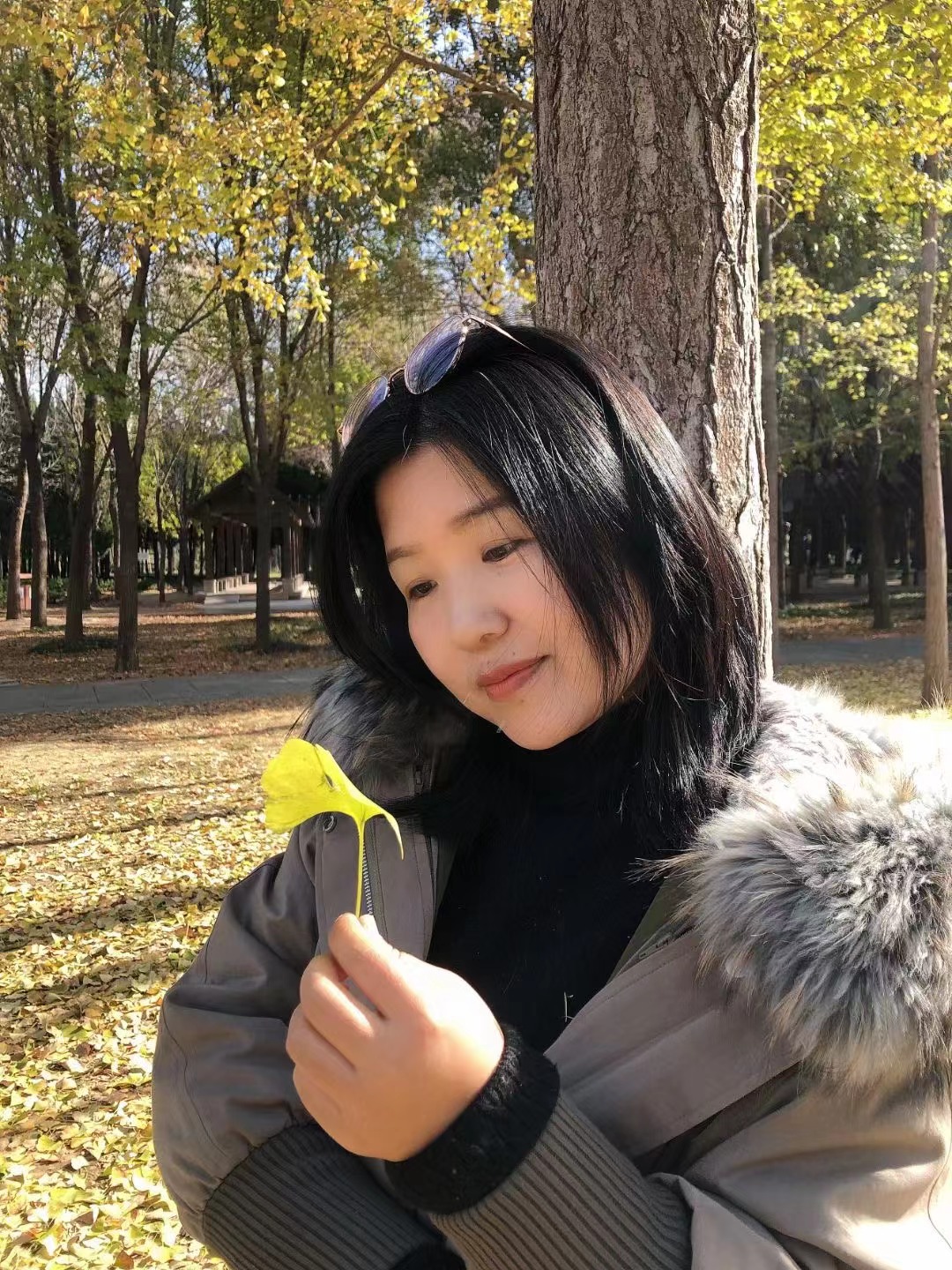 杨老师