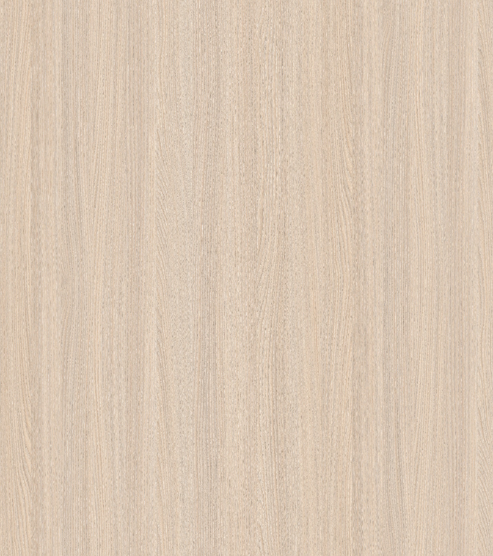 晚榆E22918-2M008