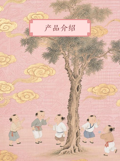 描述