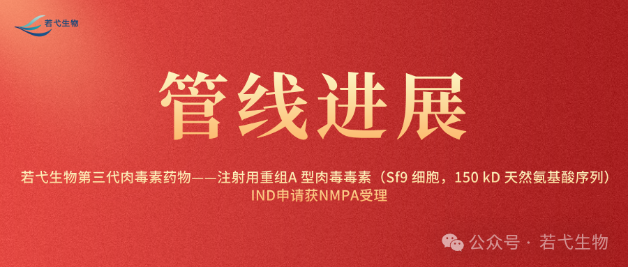 20250419封面图