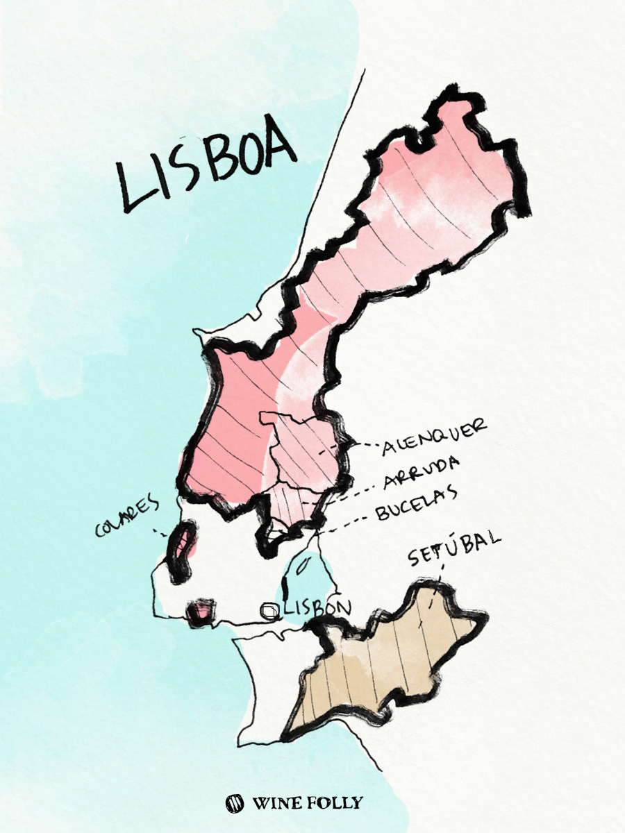 Portugal-illustrations-lisboa-wine-region