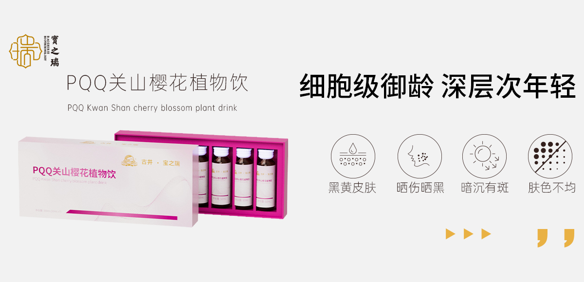 矢量智能对象
