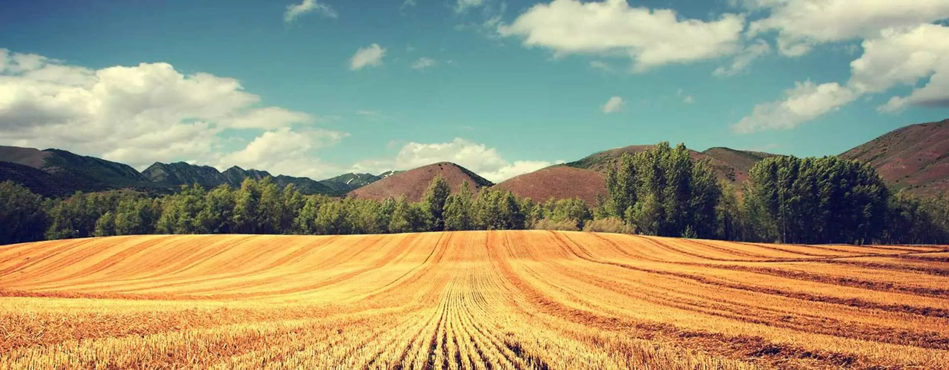 f01f54fdcce79cca6fb76b565cb8bb23