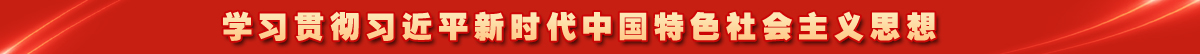 描述