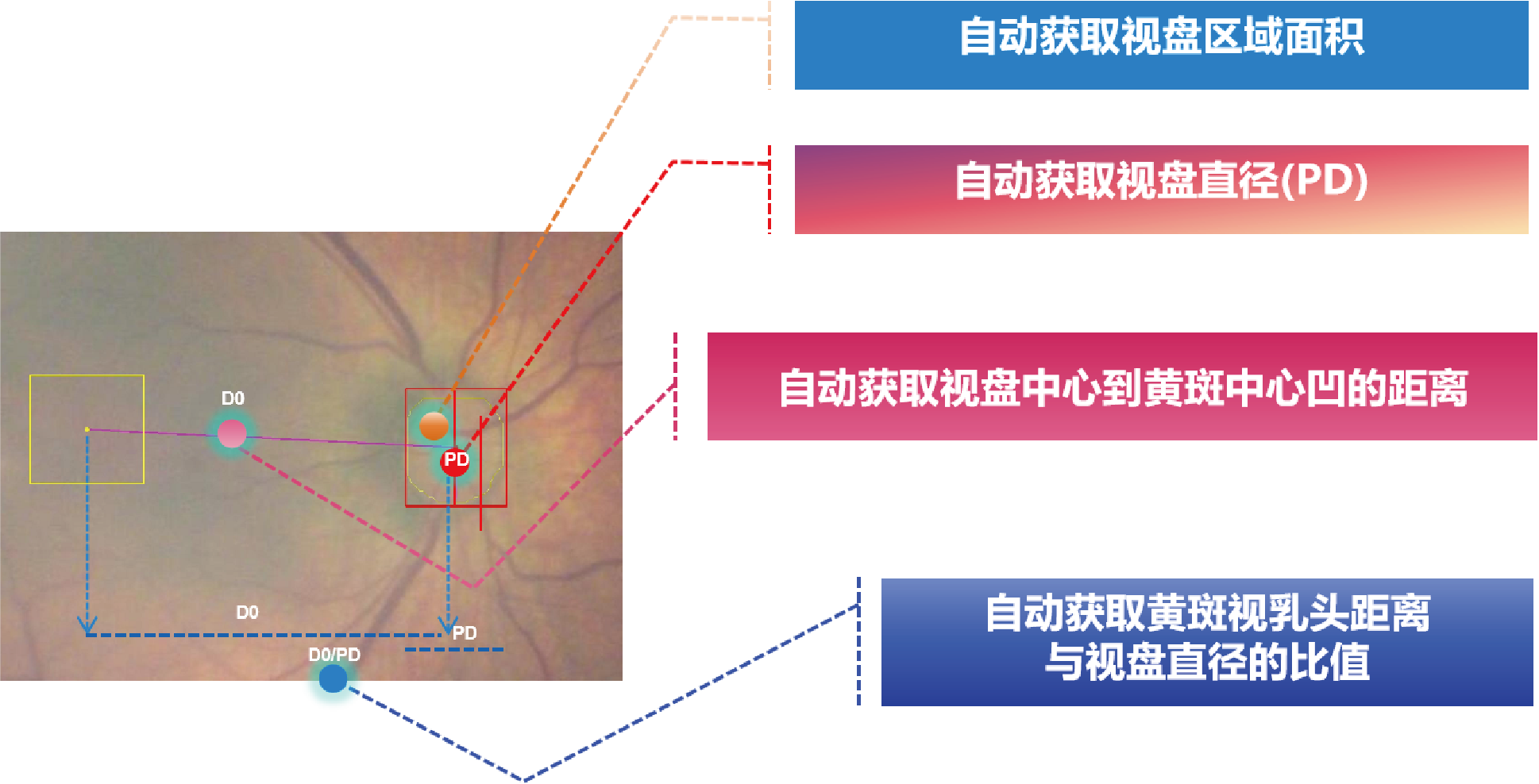 描述