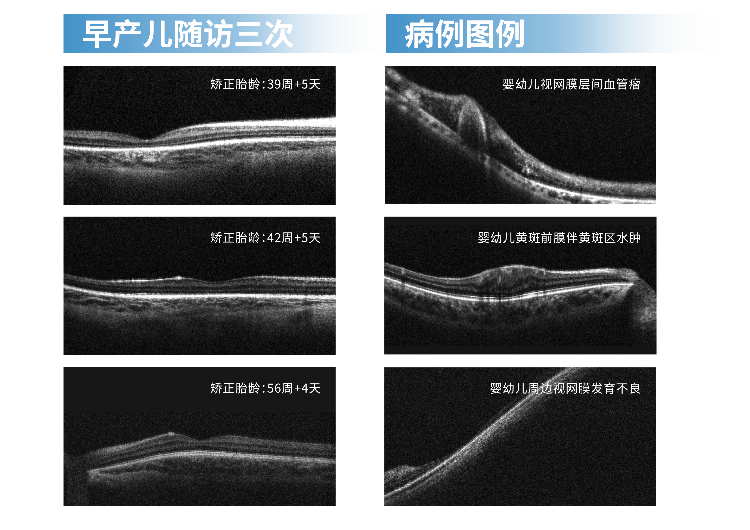 描述