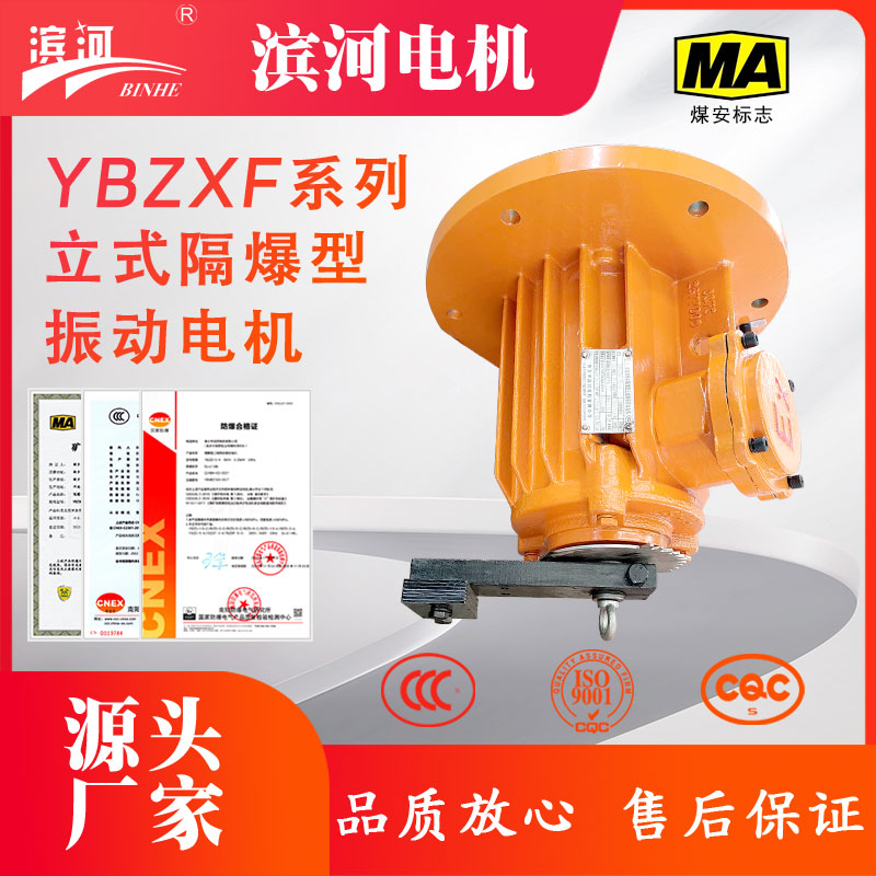 滨河YBZXF-10-4四极0.55kW法兰式防爆振动电机10KN激振力IP65激振源