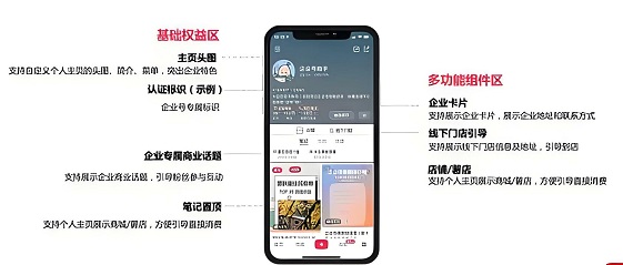 专业号介绍