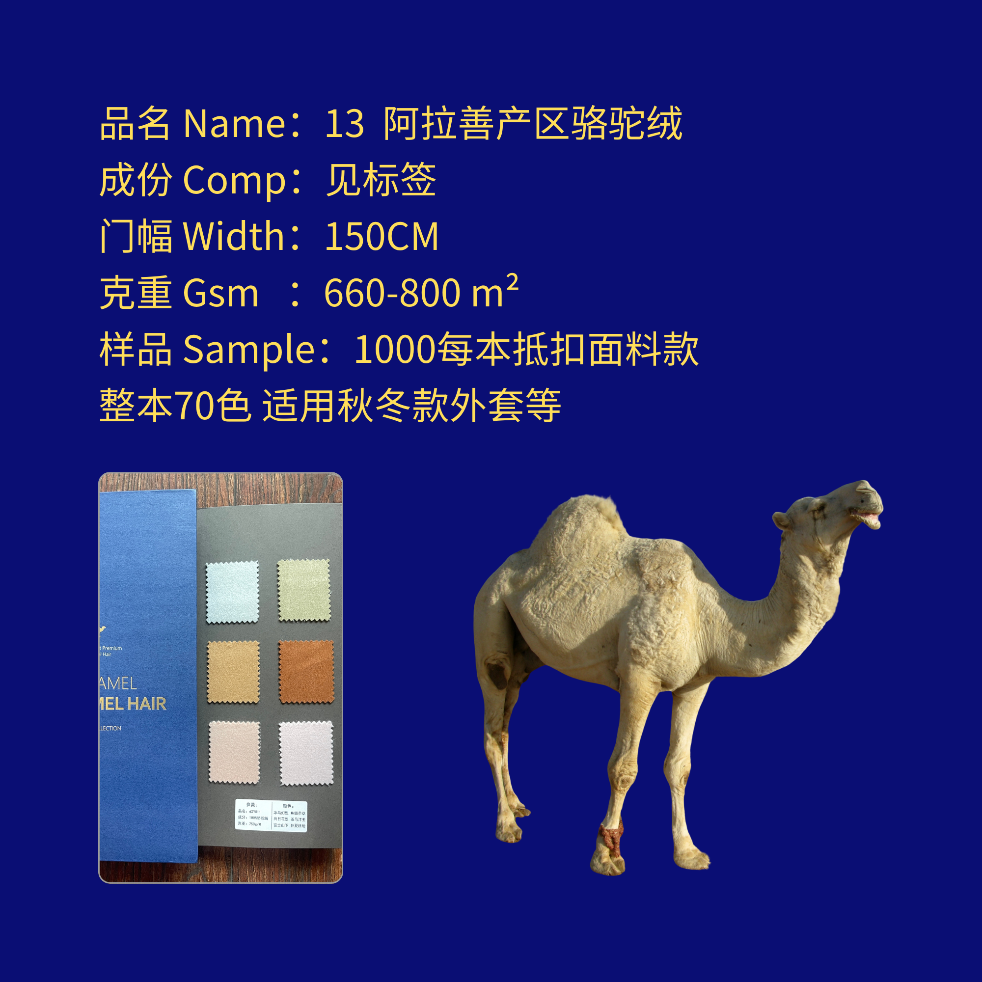 编号Number 13 阿拉善产区骆驼绒