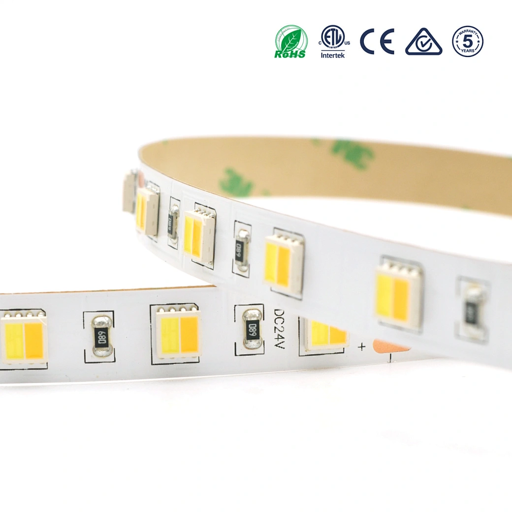 5050 2in1 CCT adjustable led strip