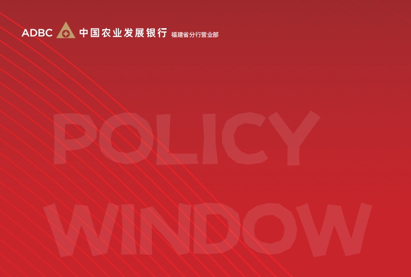 政策窗口