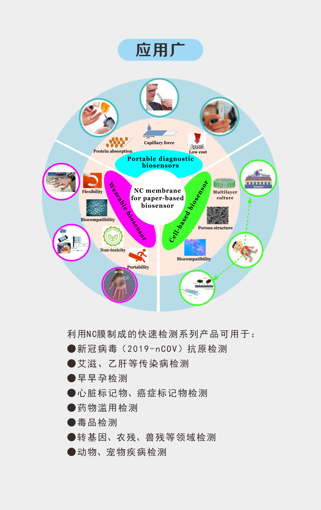 描述