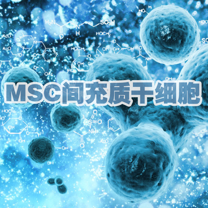 MSC间充质干细胞