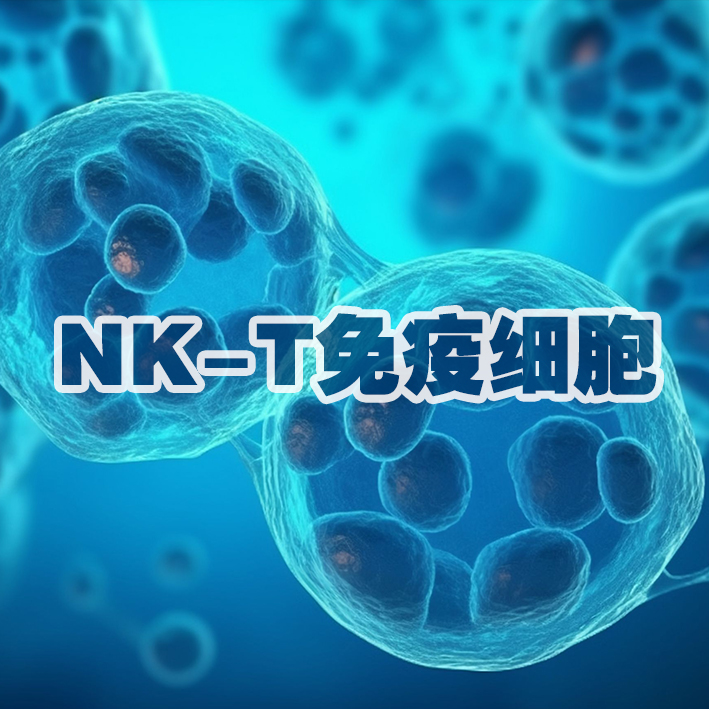 NK-T免疫细胞