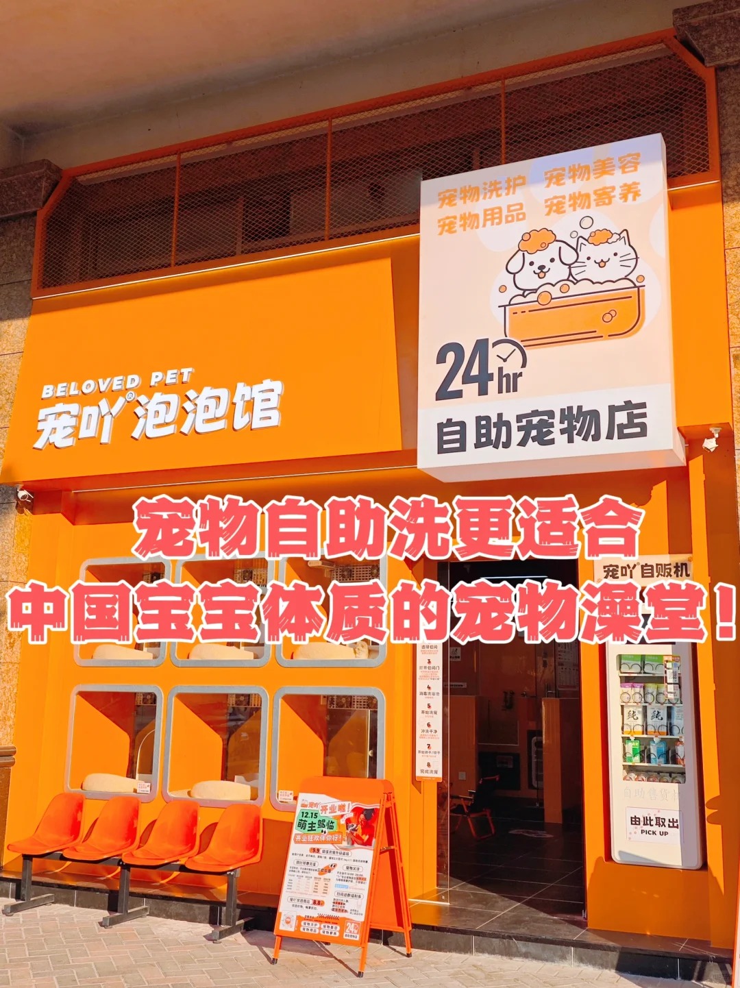 宠物自助洗，更适合中国宝宝的宠物澡堂