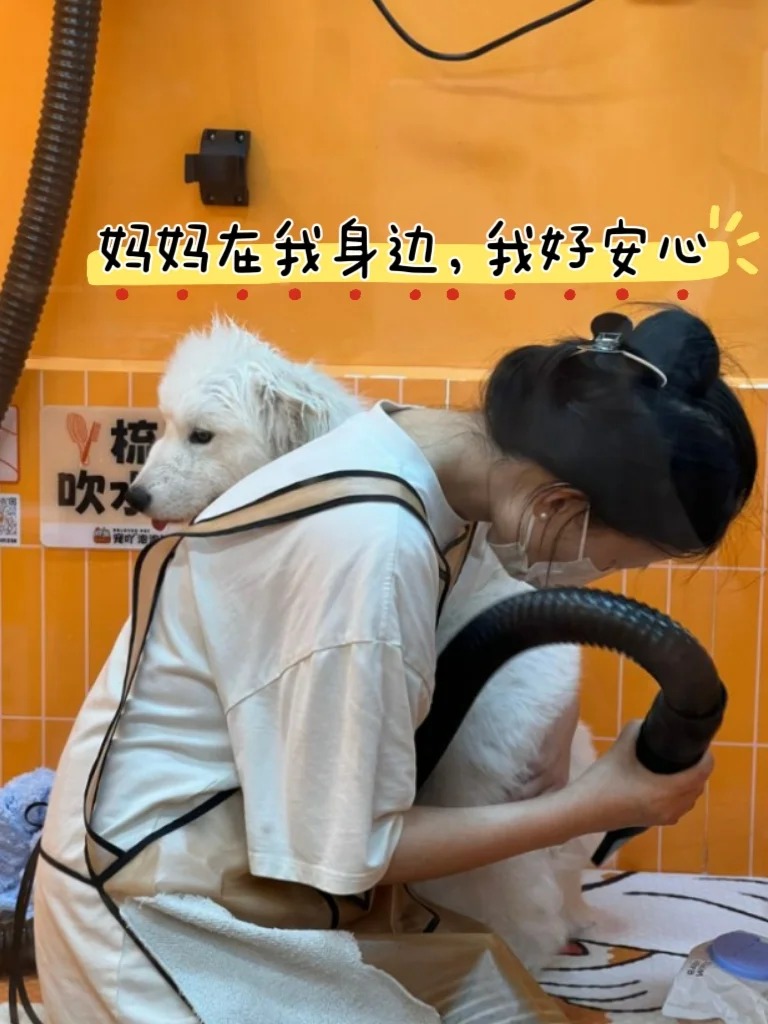 一次无意的邂逅，改变了......._4_宠爱有家运营官_来自小红书网页版