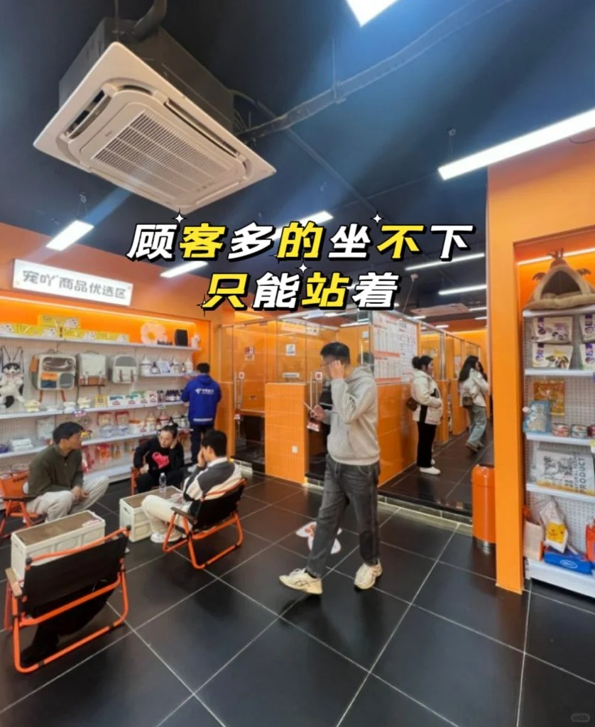 一次无意的邂逅，改变了......._2_宠爱有家运营官_来自小红书网页版