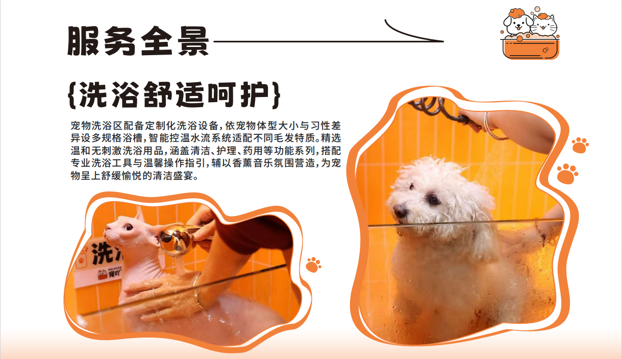 图片说明文本
