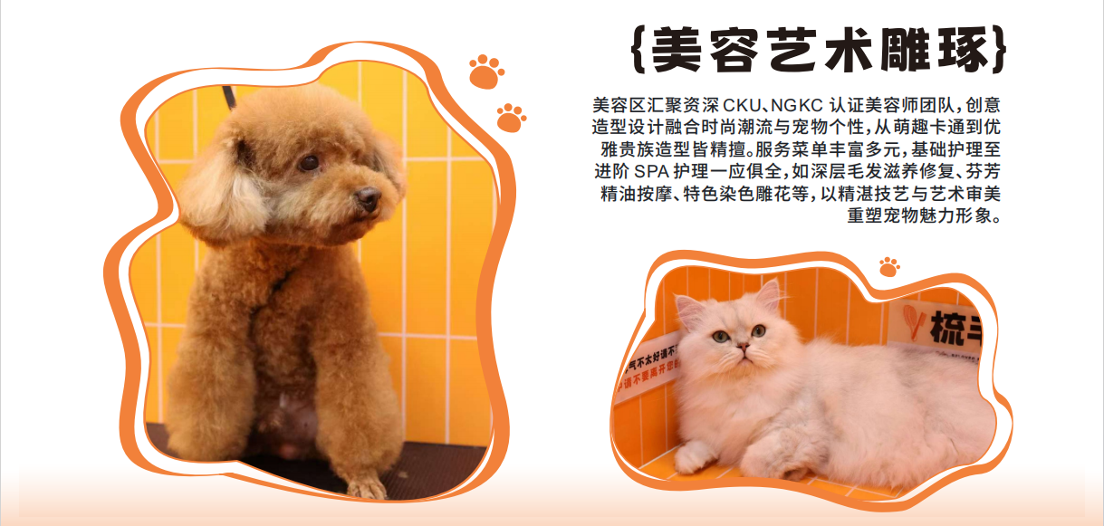 图片说明文本