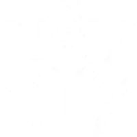 近万家合作用户