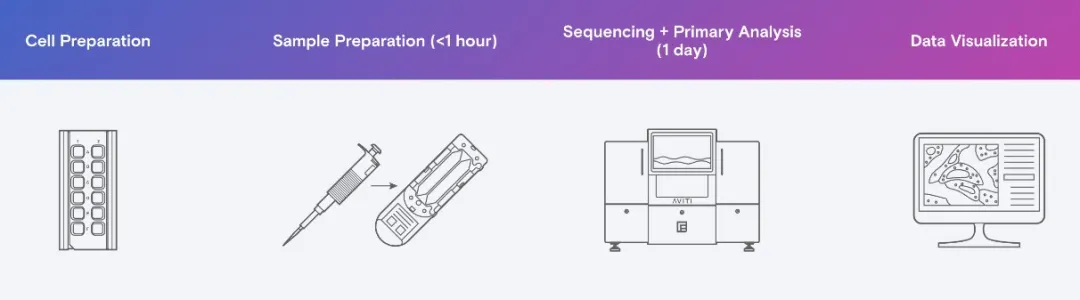 element bioscience
