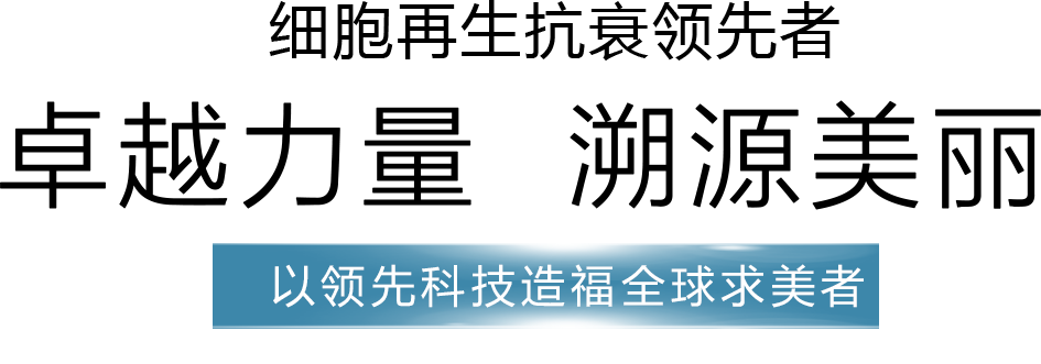 描述