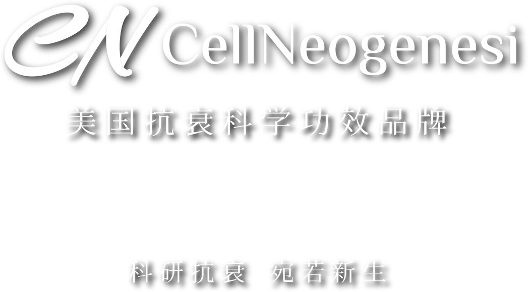 描述