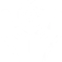 产品迭代