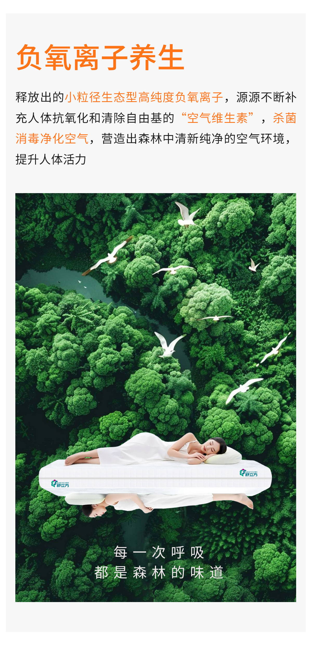 描述