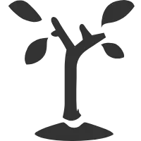 学习有效解读贵公司的 ESG 或可持续性报告和目标。