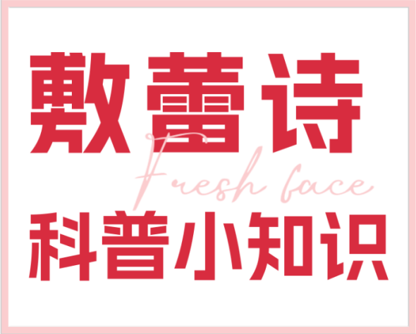 描述