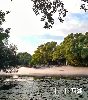 杭州西湖  小瀛洲
