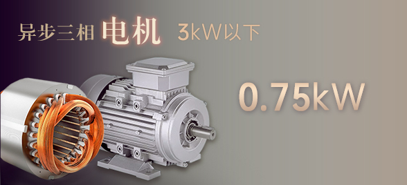 0.75kW