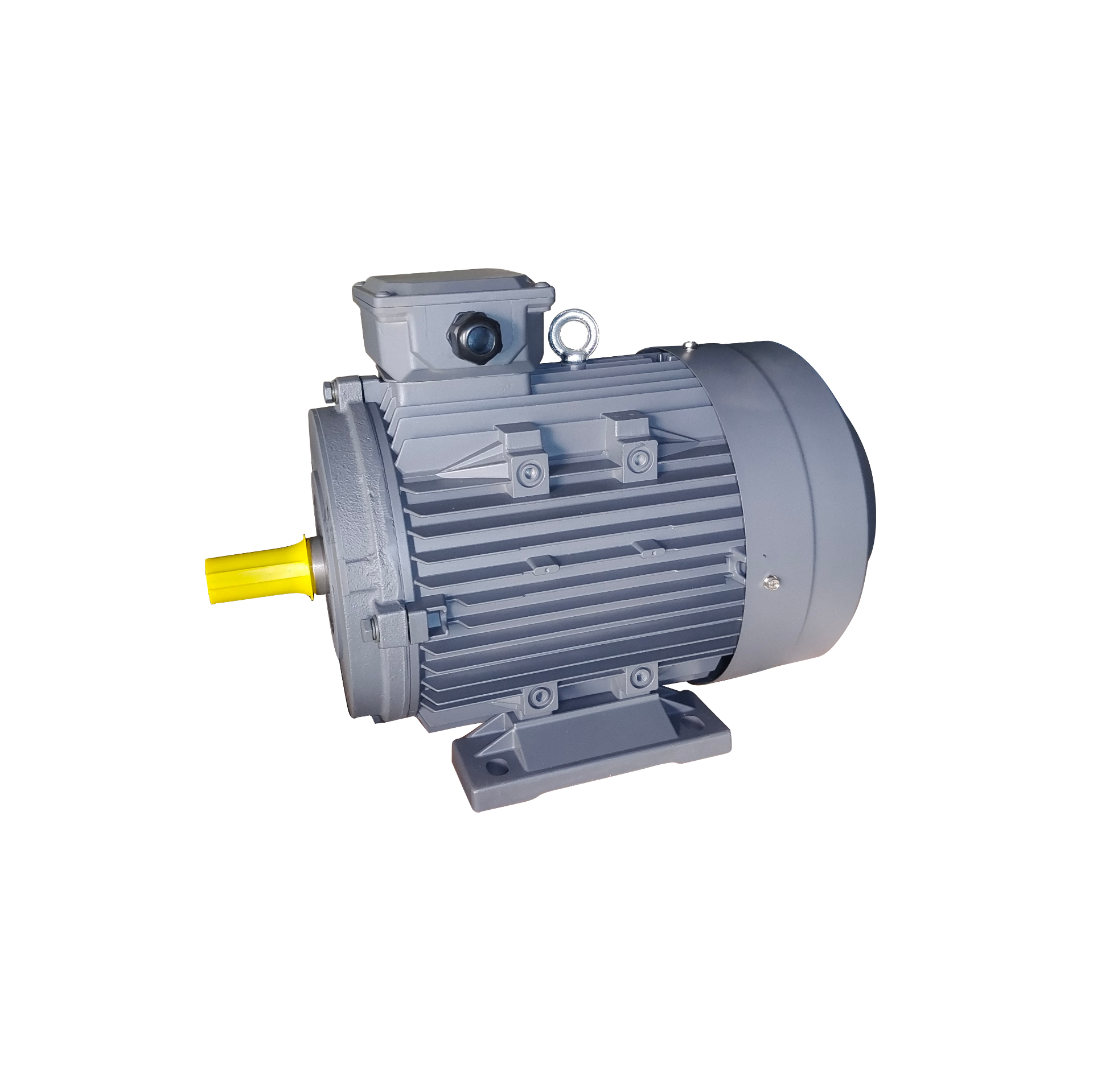 D5B