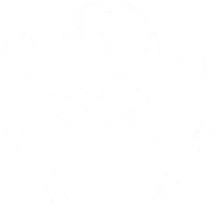 技术团队成员