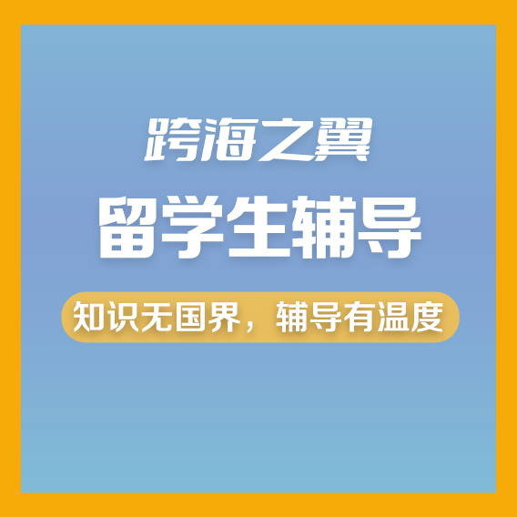 描述