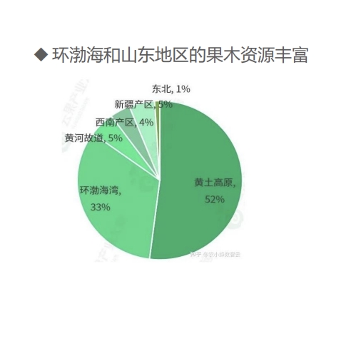 描述