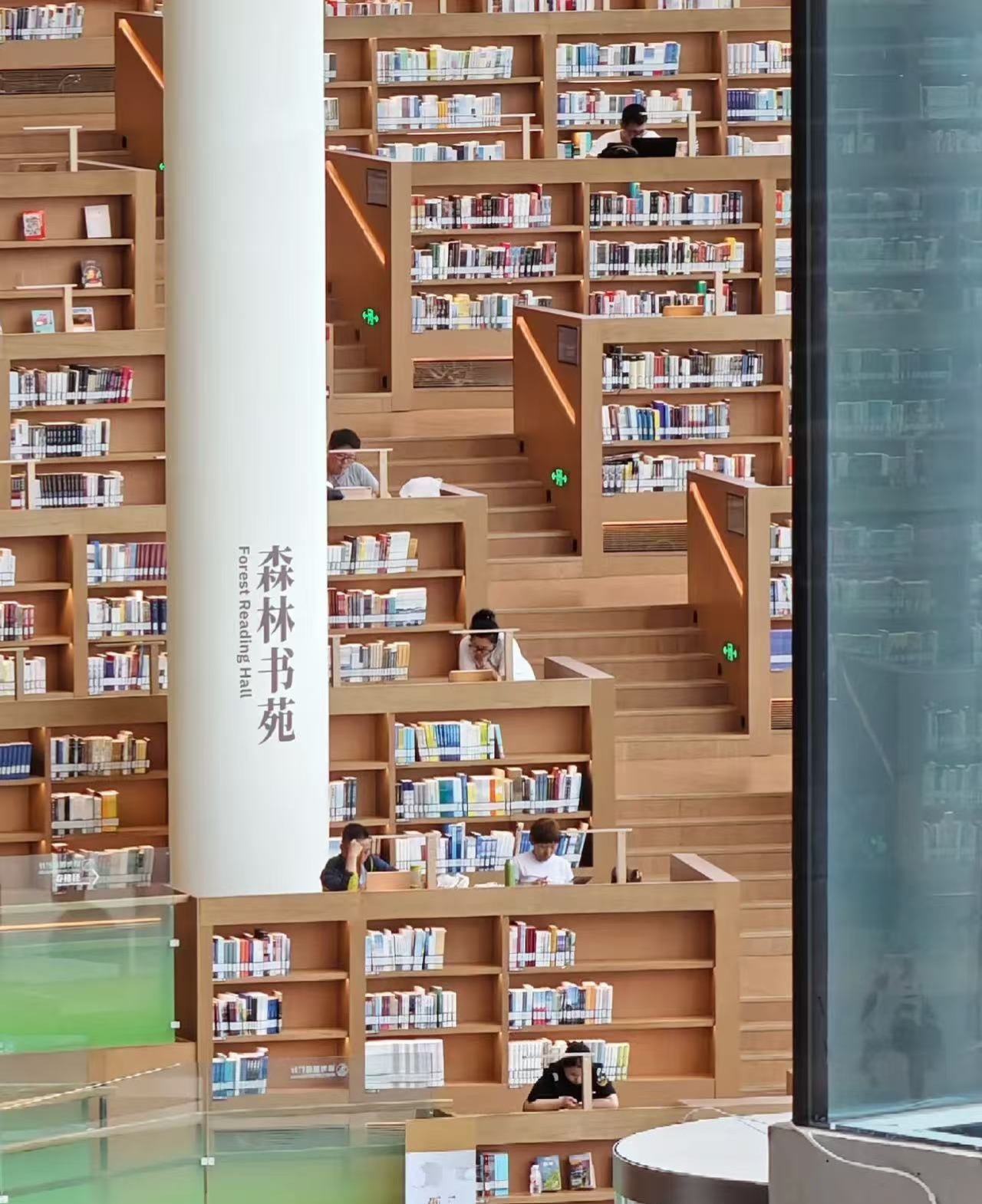 描述