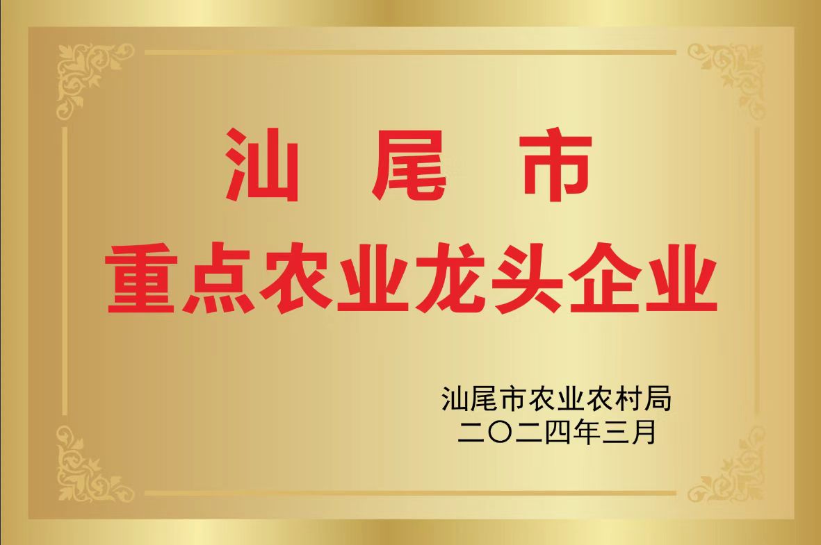 描述