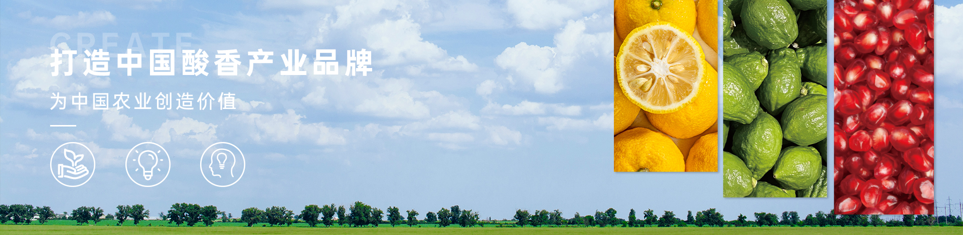 banner-首页