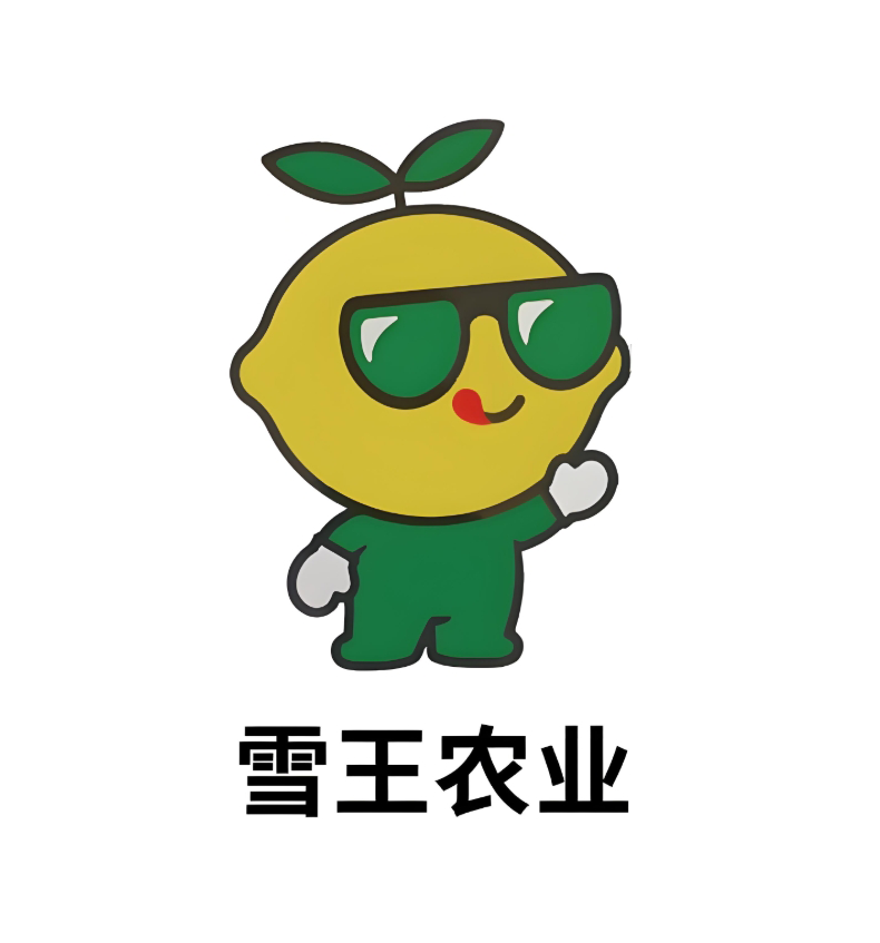 描述