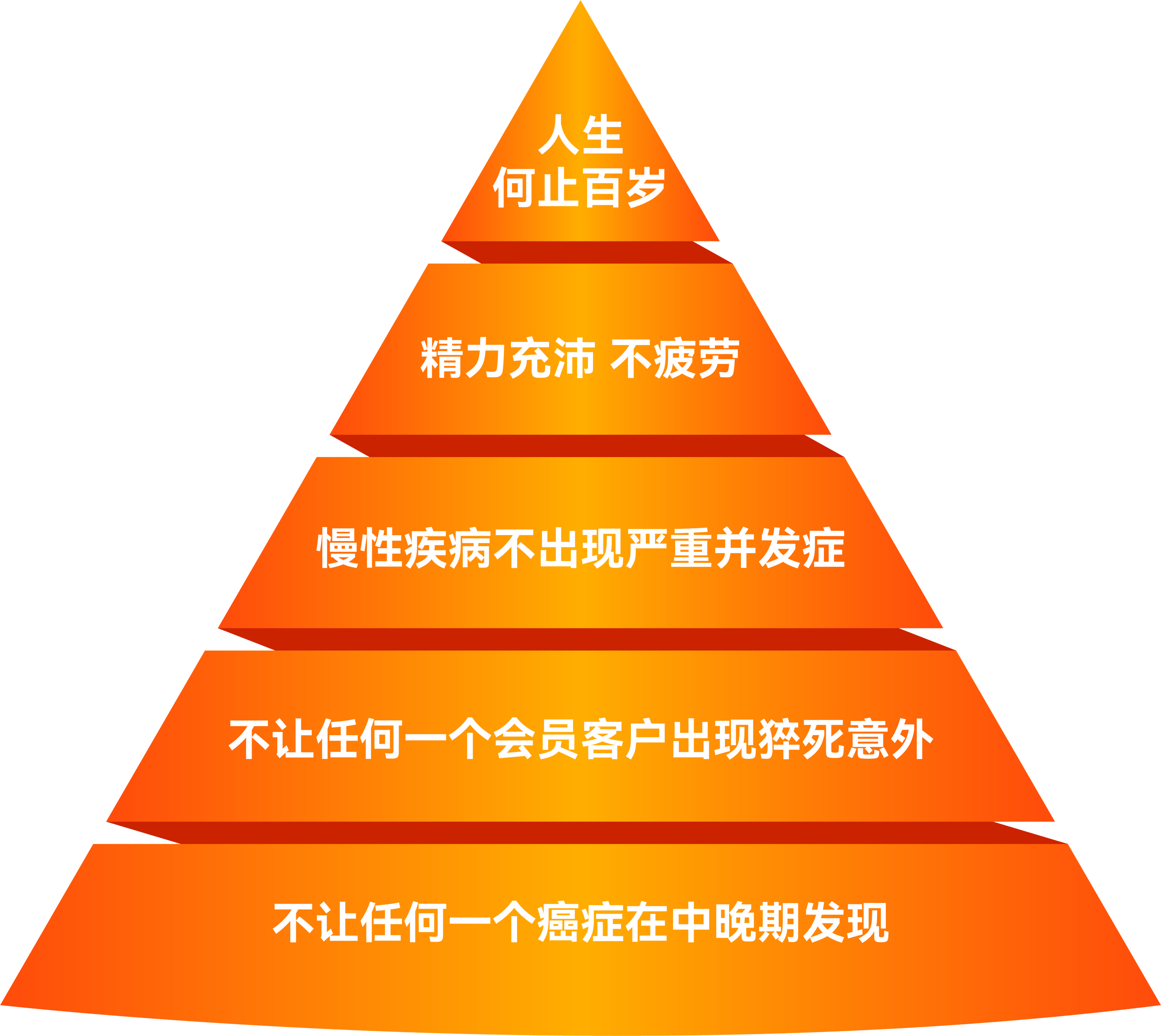 描述