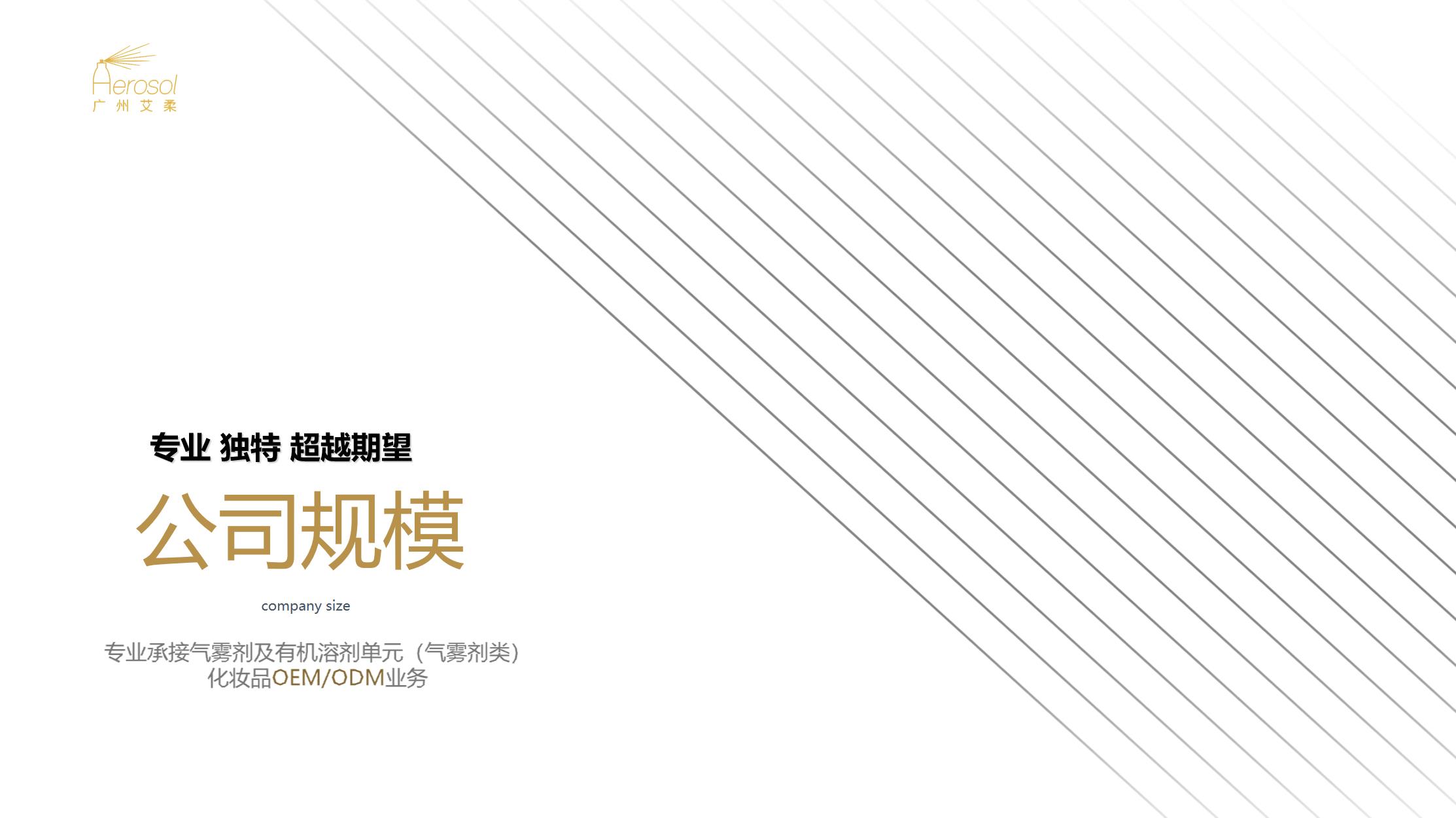 图片说明文本