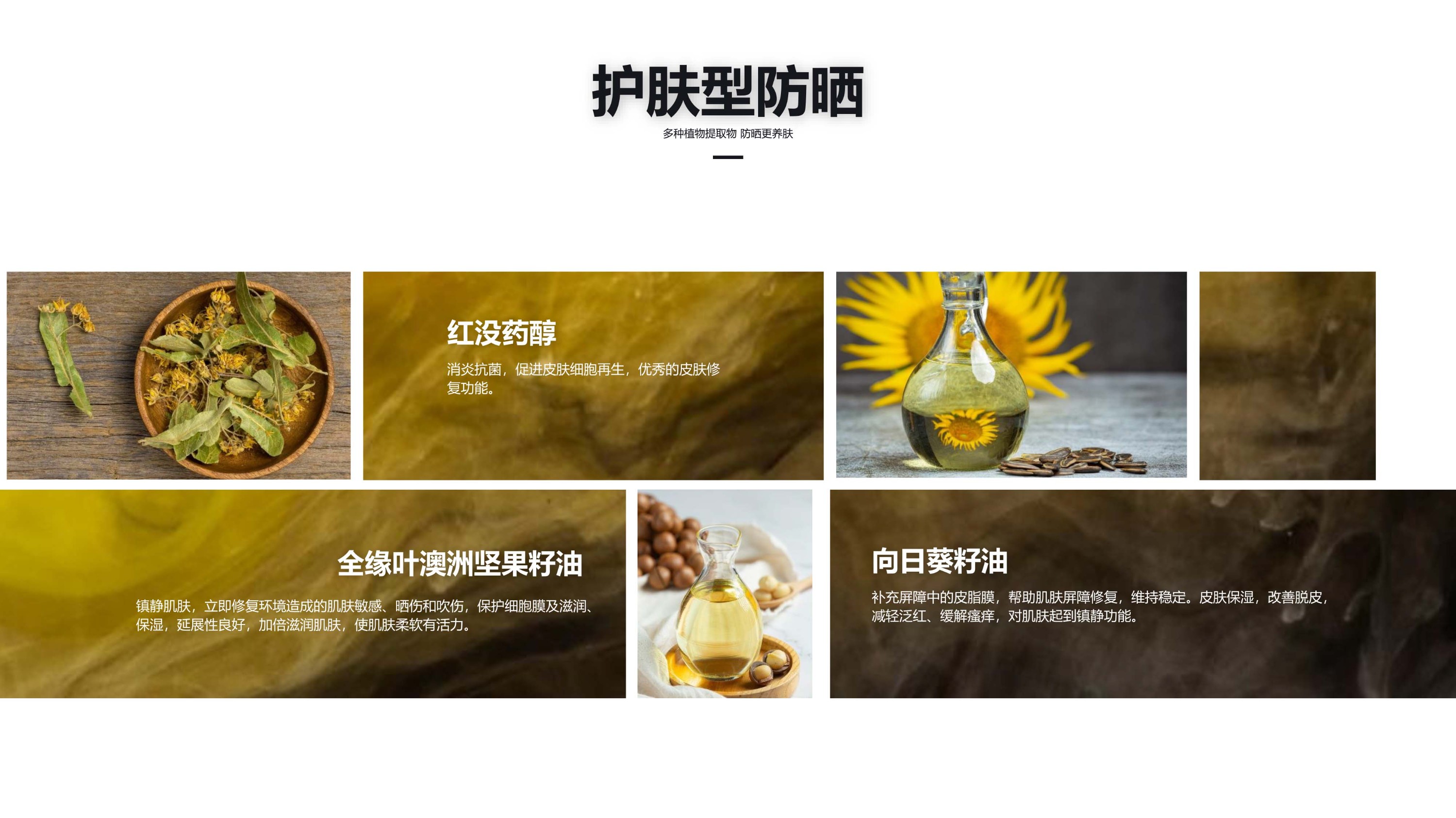 图片说明文本