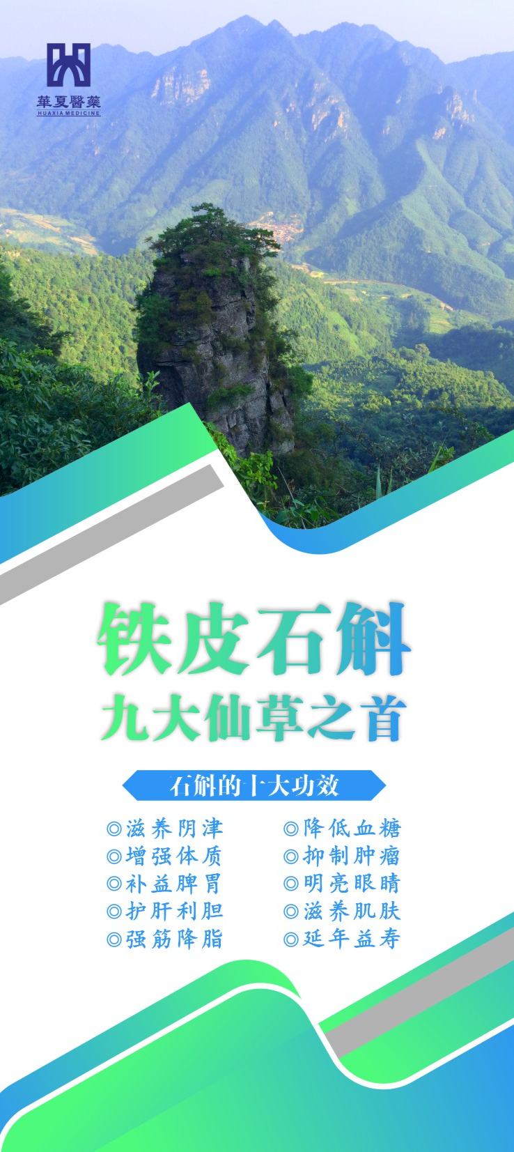 铁皮石斛植物饮品（三折页20250525）1_20250526_17482390280443010